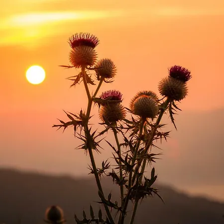 アパート Klippitz