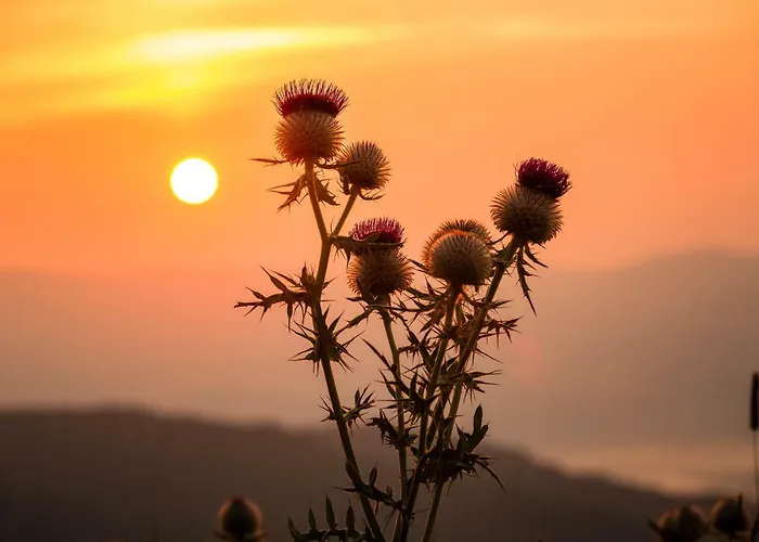 Apartman Klippitz - Panorama & Sauna